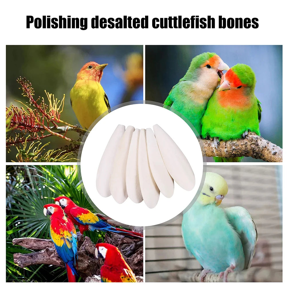 10pcs Parrot Bone Biting Toy Demineralized Pet Bird Food Edible Chewing Cuttlefish Bone Nutritional Supplements Sports Equipment