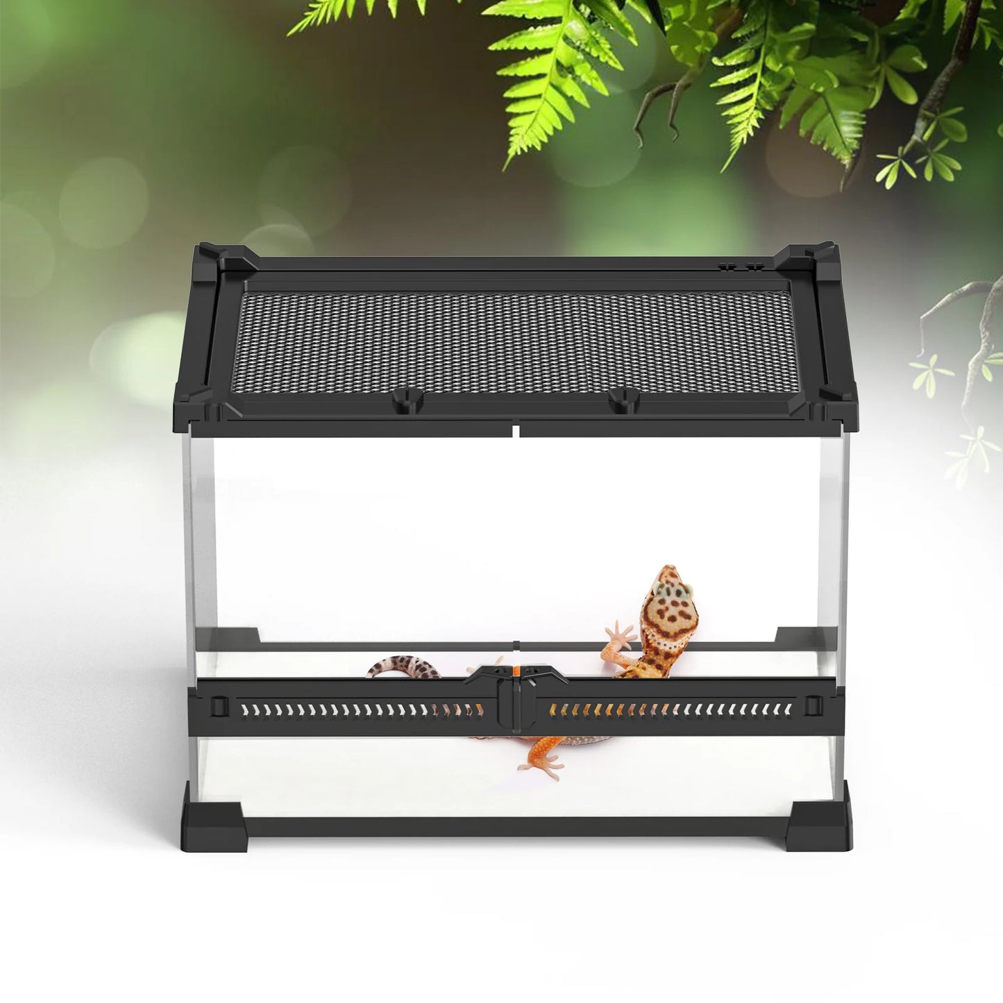 Tempered Glass Reptile Terrarium – Rectangle Habitat for Lizards, Amphibians – Dual Opening, for Frogs, Snakes, Turtles, Spiders