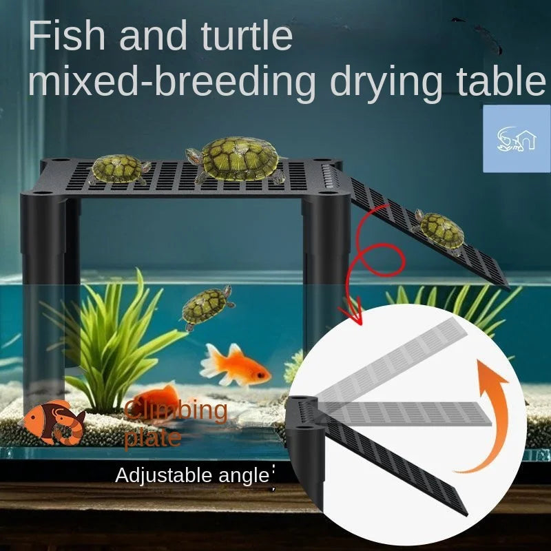Turtle Balcony Can Be Raised To Create A Multi Functional Amphibious Sun Platform And A Turtle Tank For Landscape Decoration