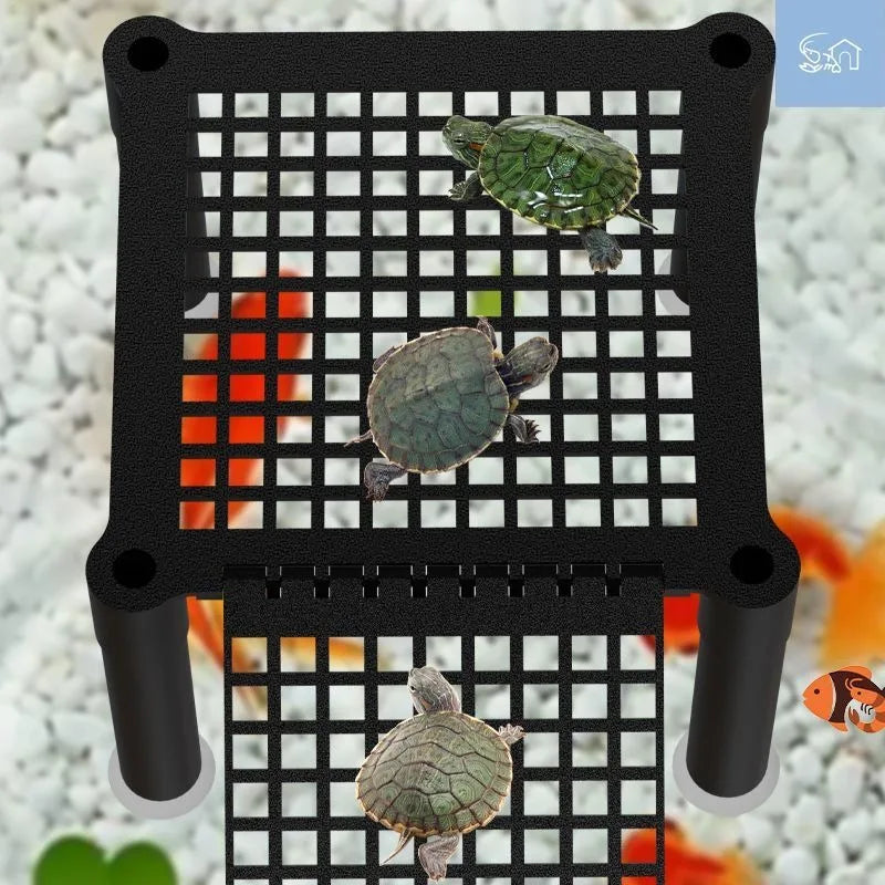Turtle Balcony Can Be Raised To Create A Multi Functional Amphibious Sun Platform And A Turtle Tank For Landscape Decoration